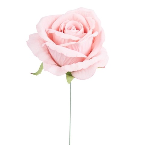 PICK ROSA JULIET PINK D10 H21